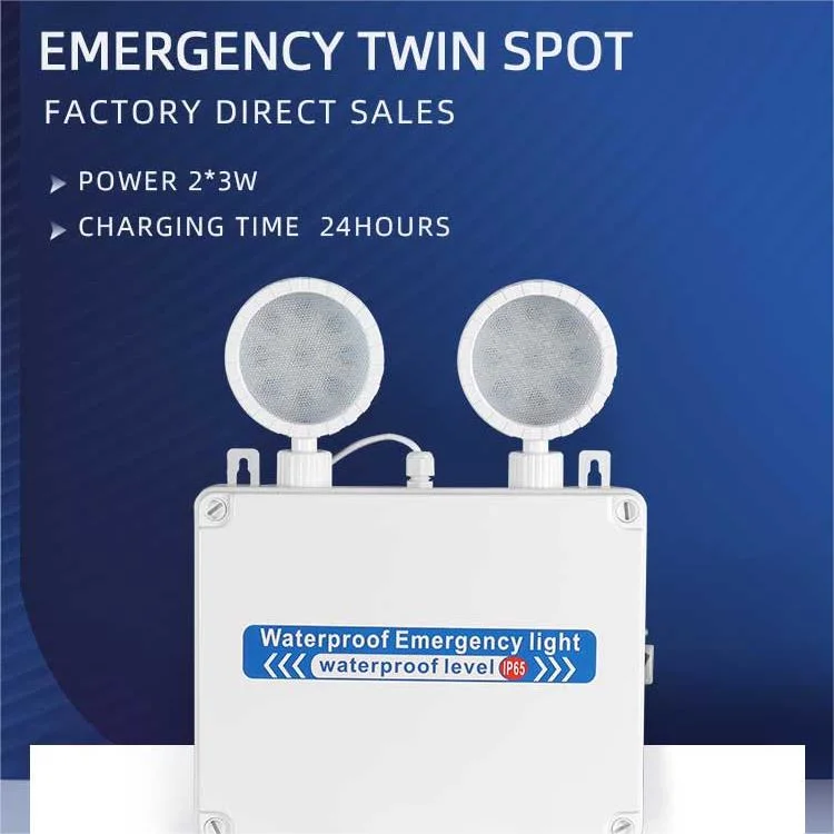 Wholesale/Supplier Rechargeable Wall Mounted Emergency Fixture with Twin Adjustable LED Heads