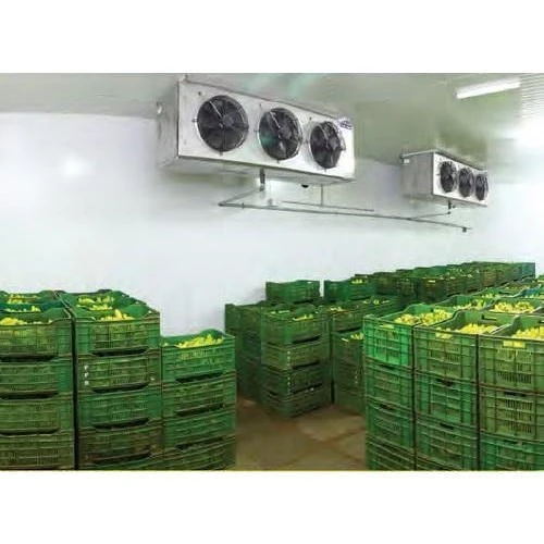 Hot New Products Cold Storage Room for Onion Vegetable Fruit Preservation