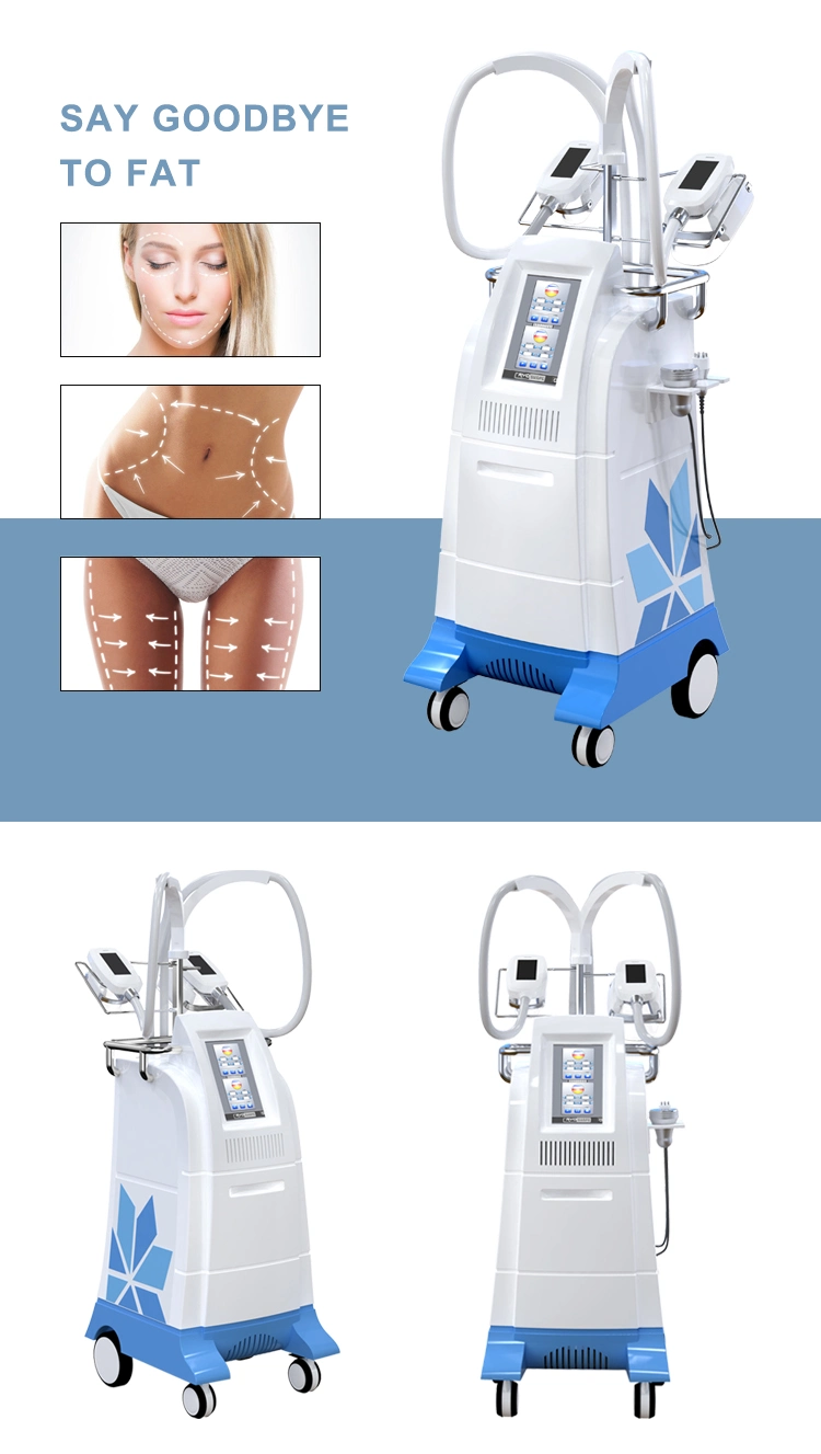 Vertical Cryolipolysis multifunción de la grasa corporal de congelación de la máquina de adelgazamiento