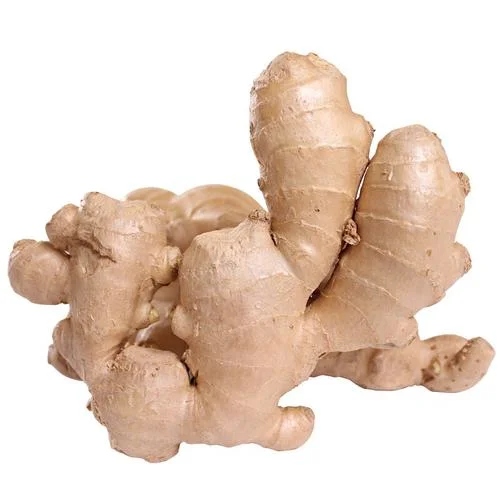 Fresh Ginger for European Market