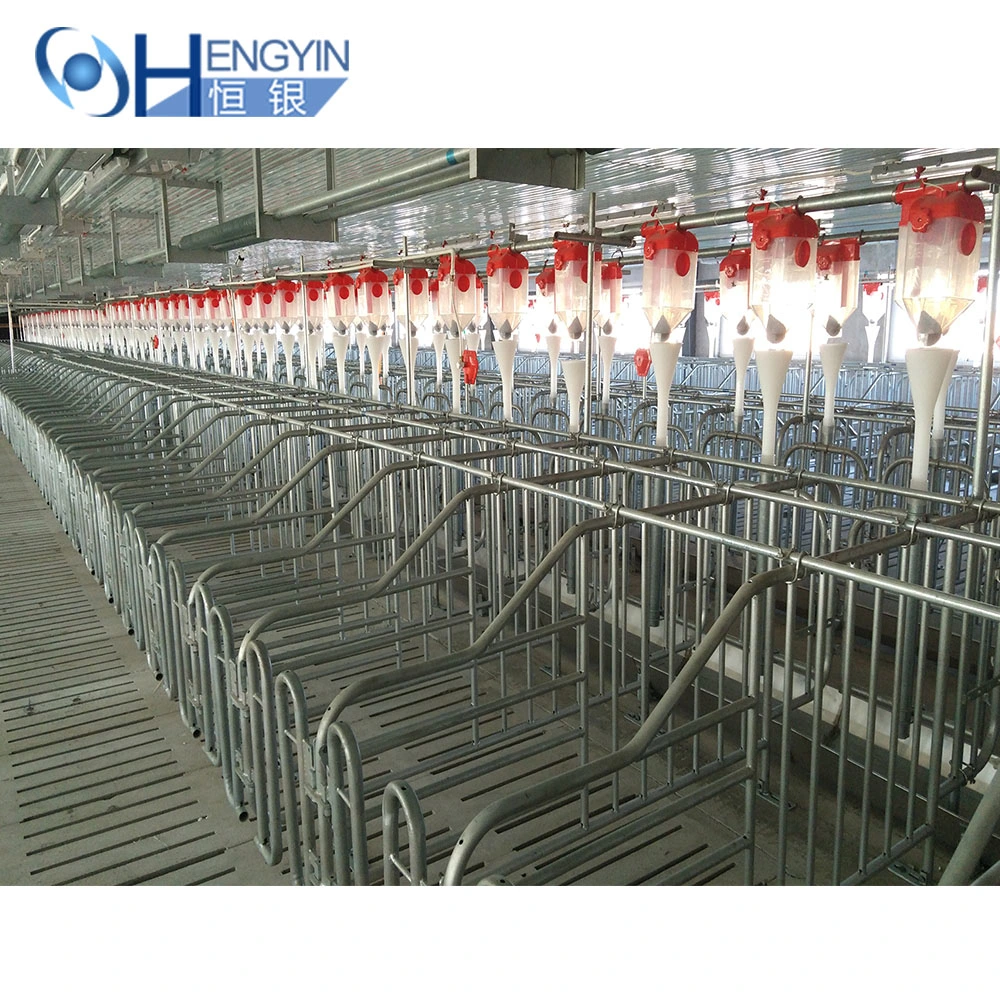 Eighty Percent Pig Farm Use Galvanized Pig Cages