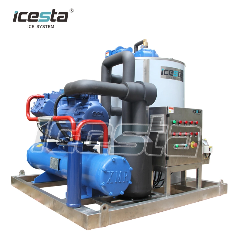 Icesta Customized High Reliable 1 2 3 5 10 Ton Salt Water Flake Ice Machine for Fish