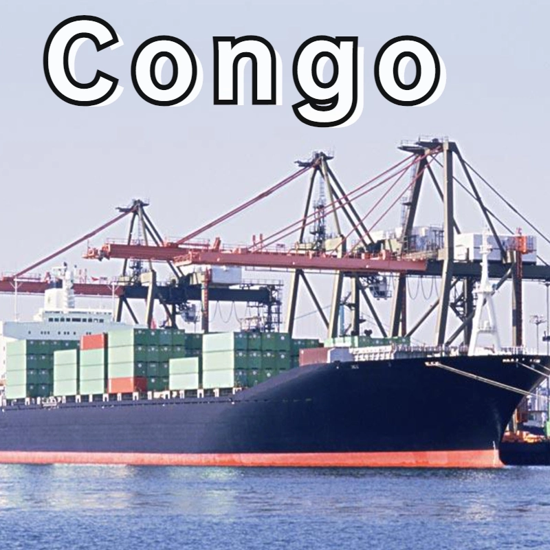 Logística Internacional para o Congo