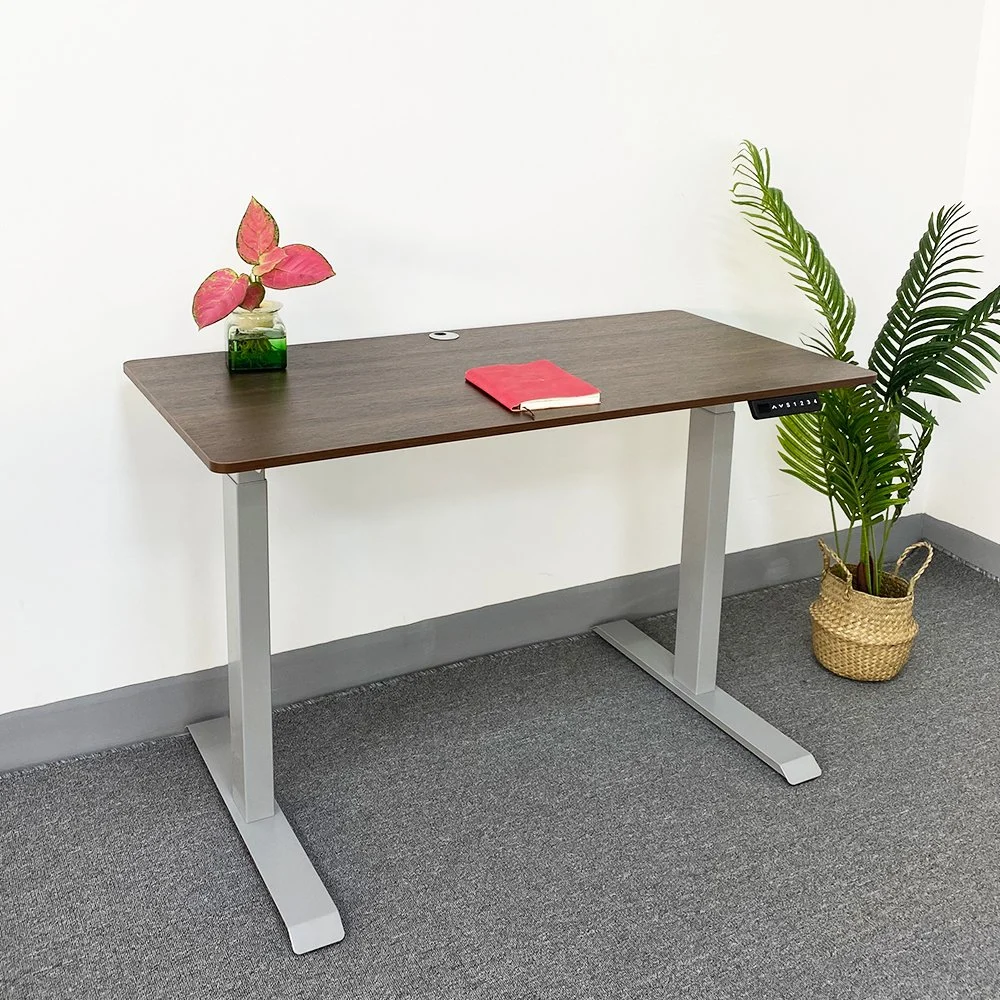 Other Office Furniture Height Adjustable Electric Sit to Stand up Computer Desk