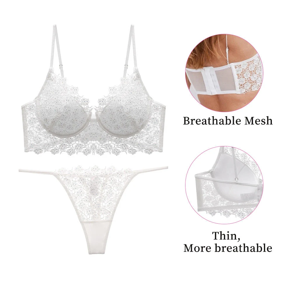Wholesale/Supplier Daily Underwear Womens Transparent Lace Embroidery Delicate Sexy Lace Ladies Bra & Brief Sets