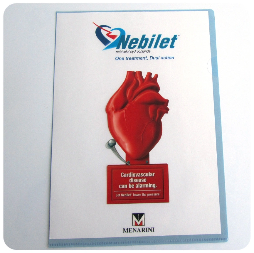 Carnet de rapport d'impression OEM / couverture de livre / sac de fichier / support de fichier