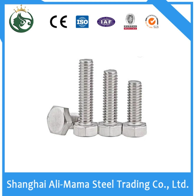 High Strength Bolt Stainless Steel Nut Grade 4.8/8.8/10.9/12.9