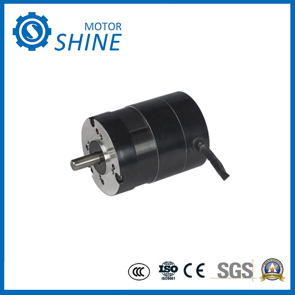 Micro BLDC Worm Gear Electric Car DC Motor for Sliding Gate