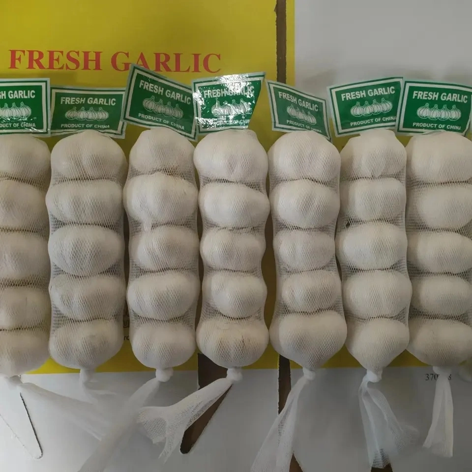 Fresh Pure White Garlic /Normal White Garlic/White Garlic with SGS Certificate