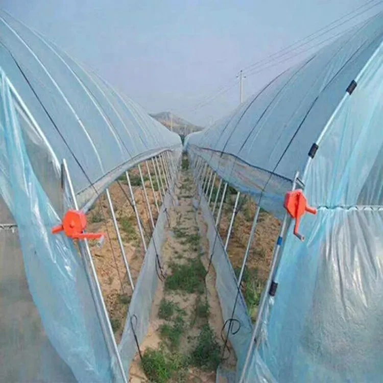 Single Agriculture Xinhe Customized House Plastic Po Garden Greenhouse Hydroponics PE Film