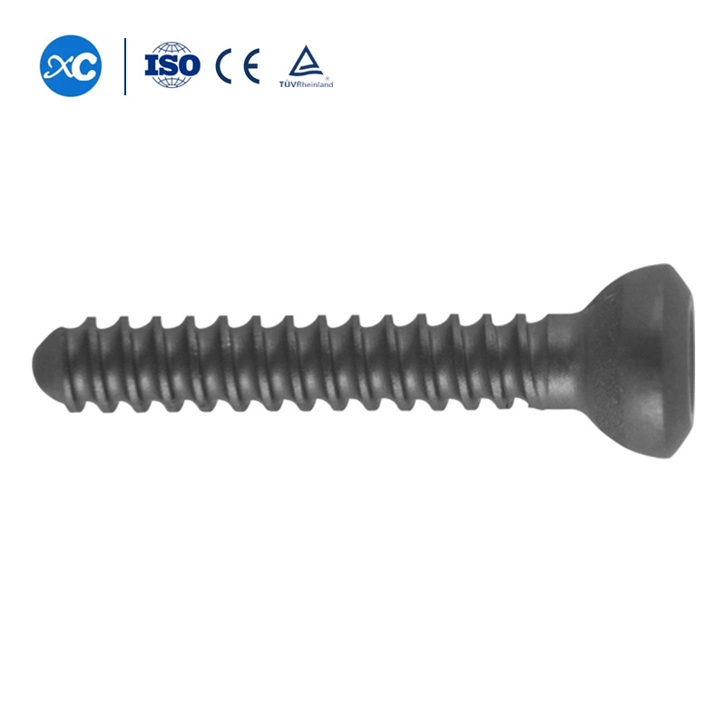 Supply Different Sizes Medical Cortex /Cancellous Screws, Orthopedic Implant Titanium Bone Screw