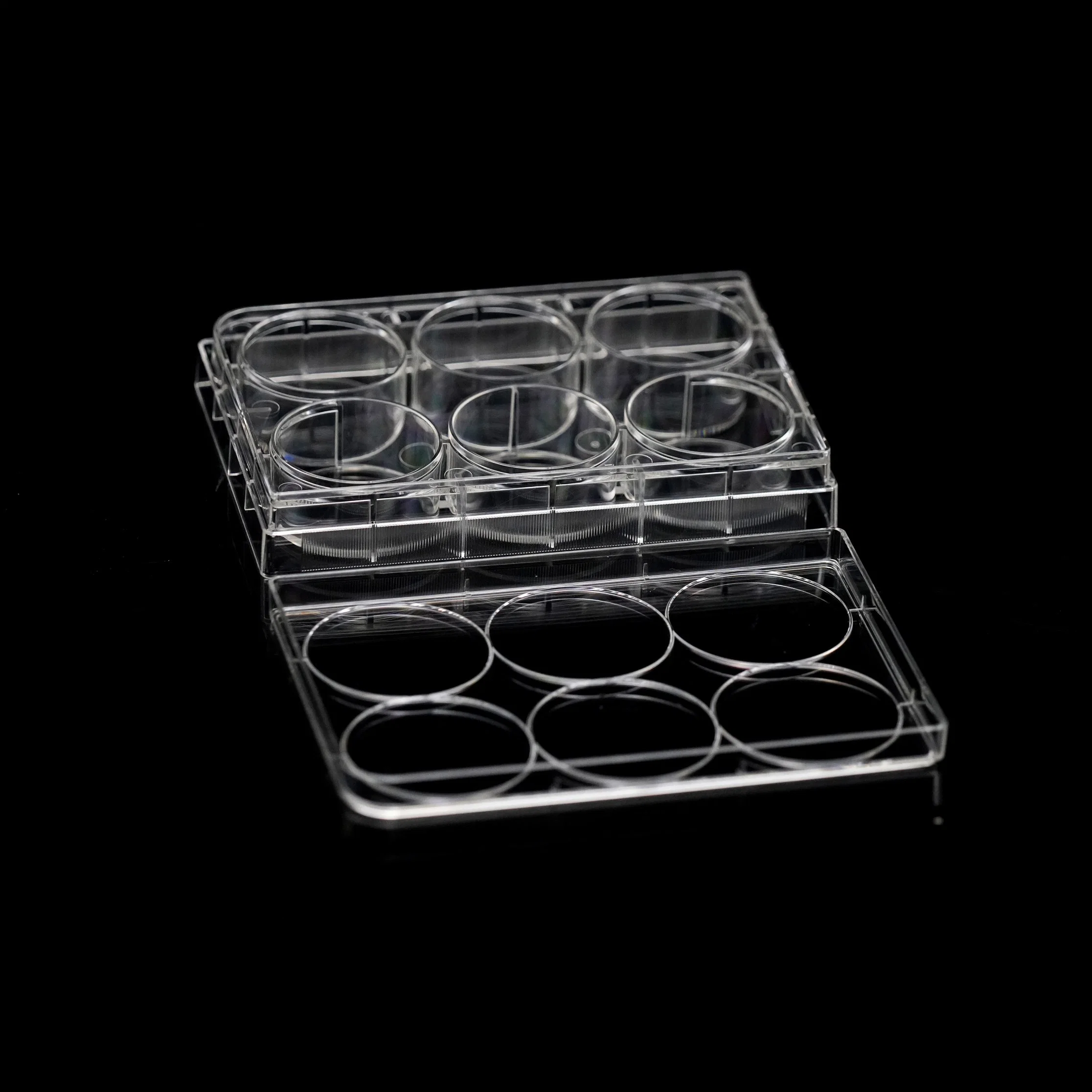 PS Plastic 96 Well Tissue Cell Culture Plate for Laboratory