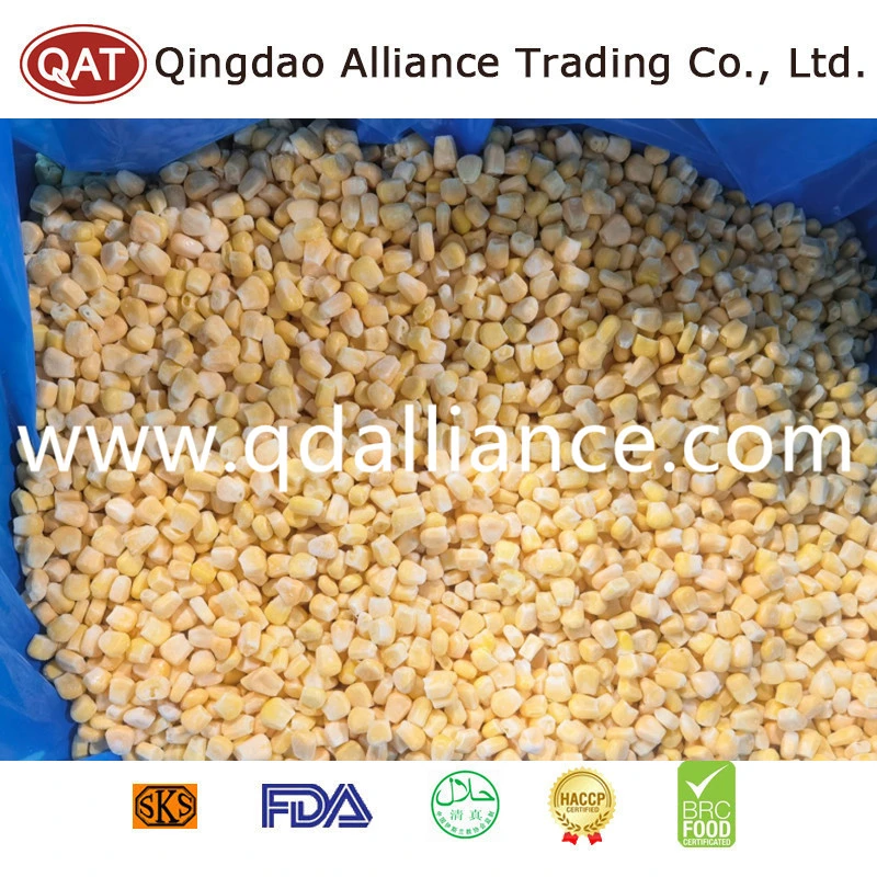 Premium Quality China Frozen Super Sweet Corn Kernels