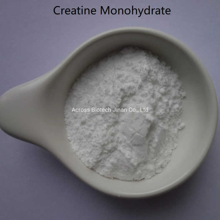 Wholesale Creatine Monohydrate 20/80/200 Mesh with Nice Price