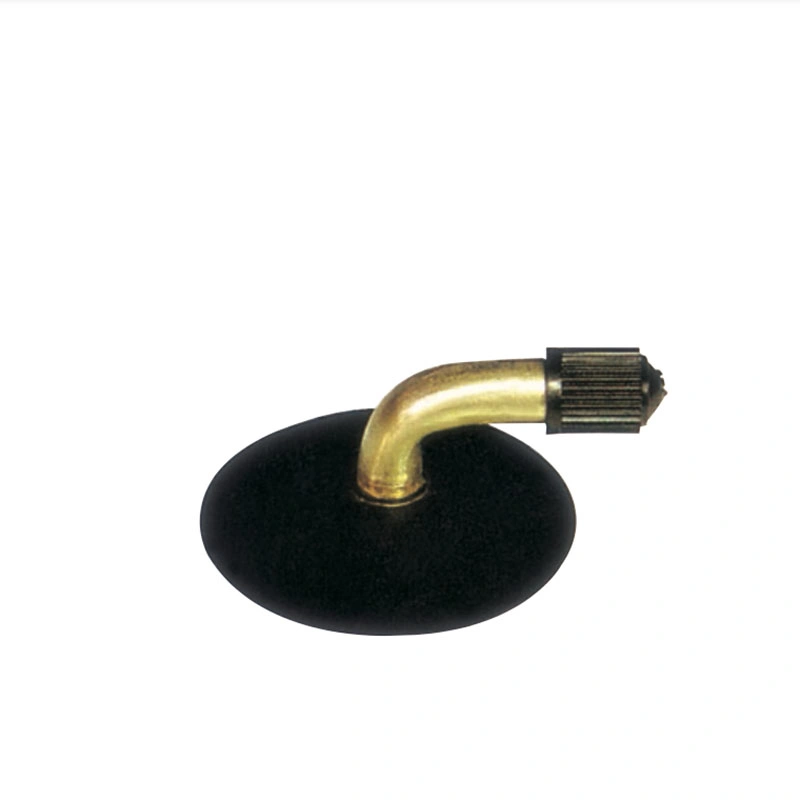 Best Price Motorcycle Valve Nozzle with Top Quality From China