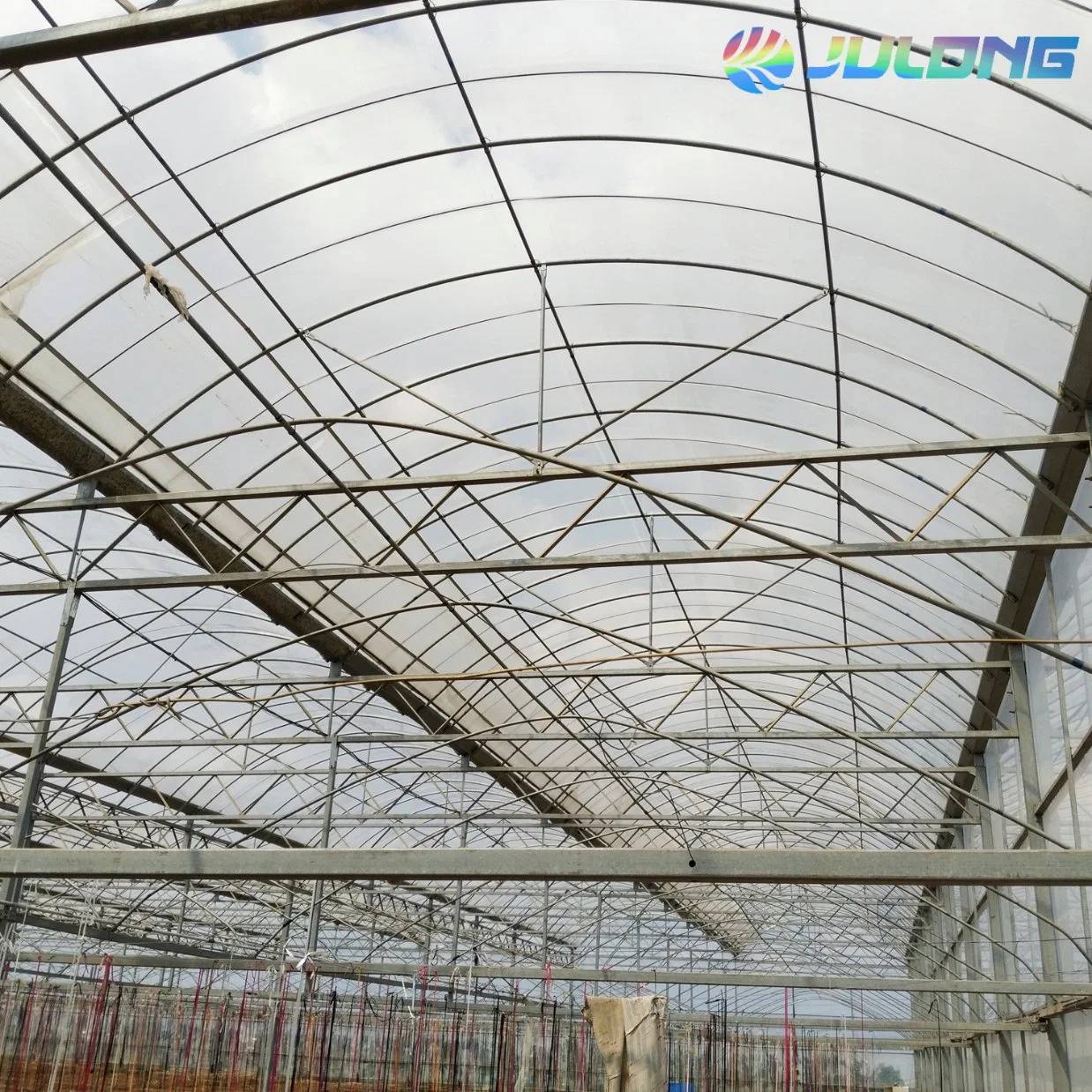 Tomato Tunnel Poly Film Greenhouse for Agriculture Farming