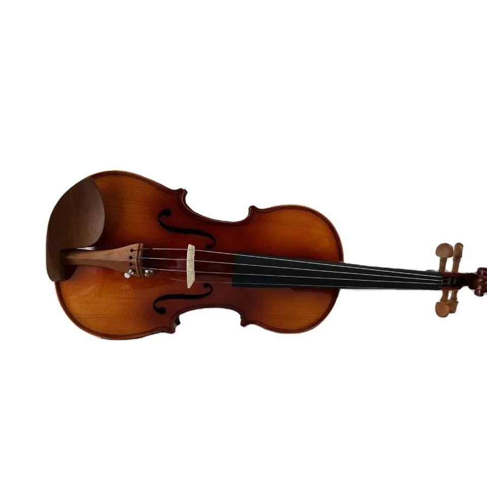 Fokison Spruce Ebony Strings ornamento hecho a mano Violin