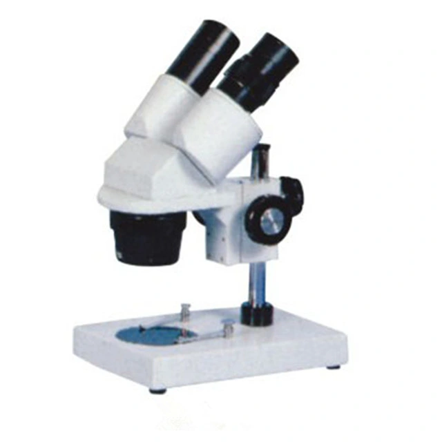 Student Study S-30 Series Stereo Microscope