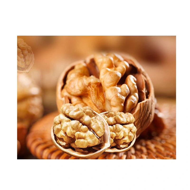 سعر رخيص نوع Natural Thin Shell Best fjed Walnut Kernels