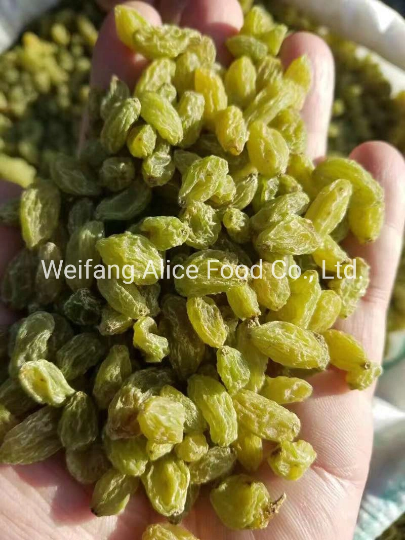 Health Snacks Chinese Factory Dried Green Raisins