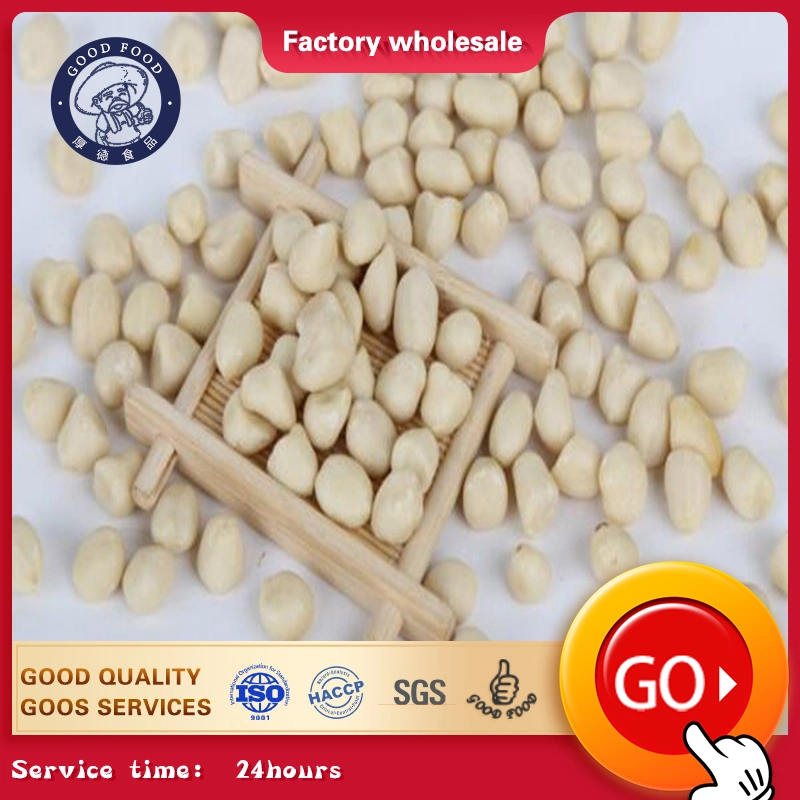 Made in China Supplier of Natural Peanut Blanched Peanut Kernel with Good Price