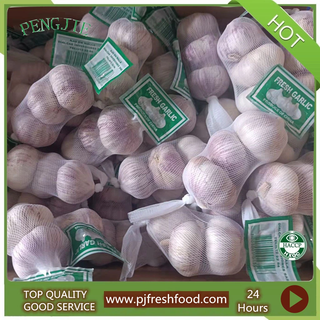 Good Quality New Crop Fresh Garlic Normal White Garlic and Pure White Garlic