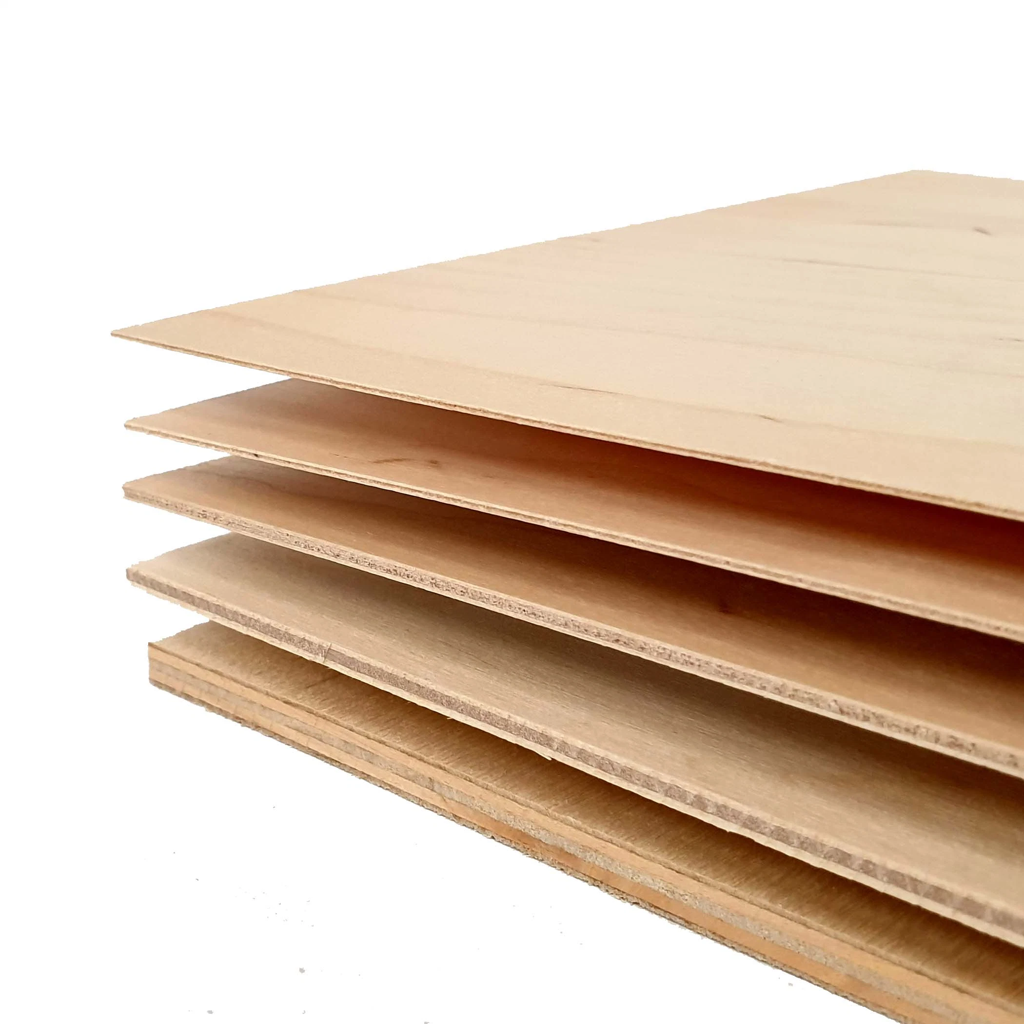 Competitive Price 3mm 6mm 9mm 12mm 15mm Okoume/Bintangor/Pine/Birch/Poplar Plywood Furniture Plywood