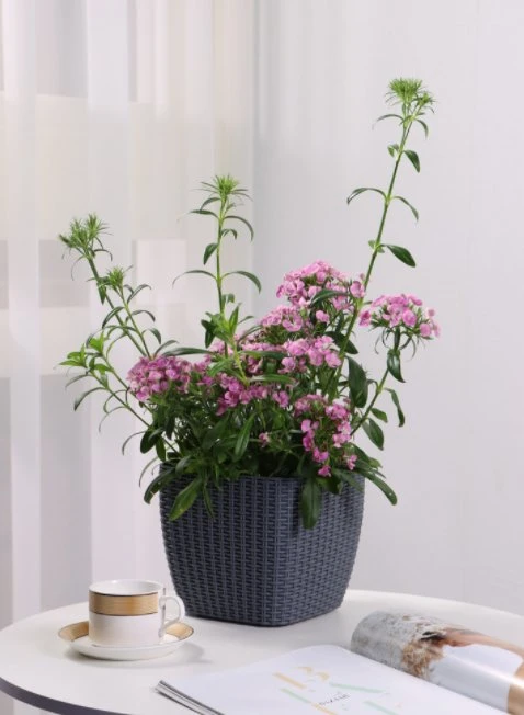 Wholesale/Supplier Garden Rattan Flower Pots Factory Directly Sale Garden Supplies Medium Size Self-Watering Functions for Home Office (TB-3111)