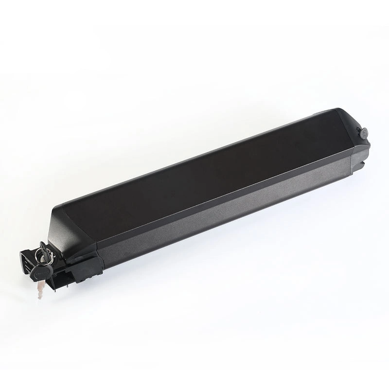 Best Quality Battery and Motor for Electric Bike Battery E Bike 36V Battery for 1500W Ebike