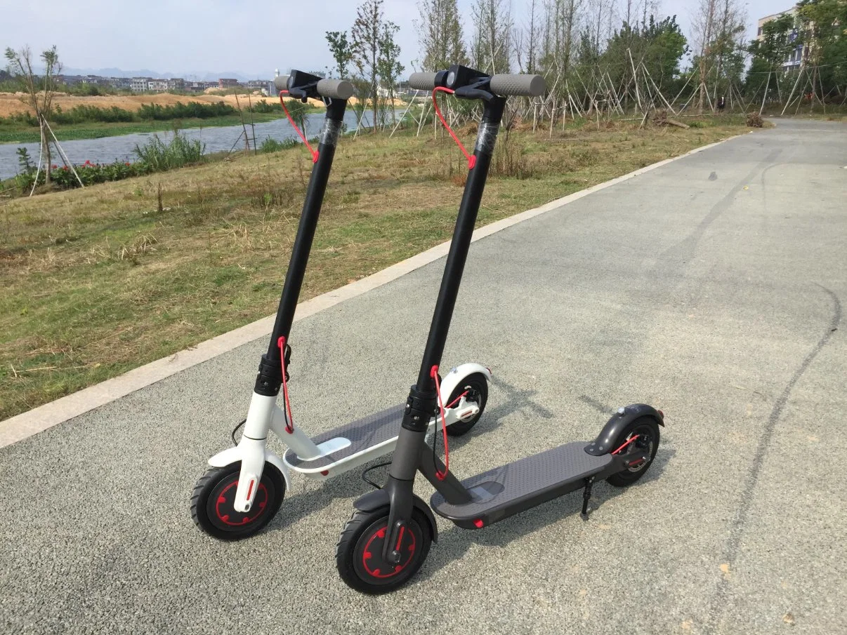 Scooter eléctrico de 8,5 pulgadas 500W Plegar E Scooter de la ciudad de Urbana en la carretera