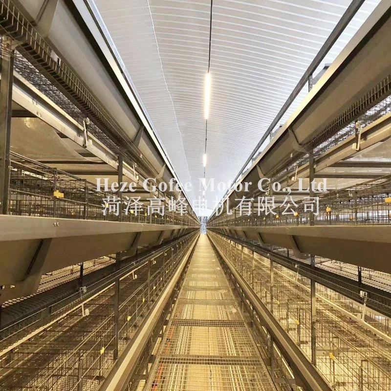 Poultry Equipment Farming Broiler Layer 3 Tiers 4 Tiers Animal Husbandry Equipment Hot DIP Galvanized Feeding Line Cage System