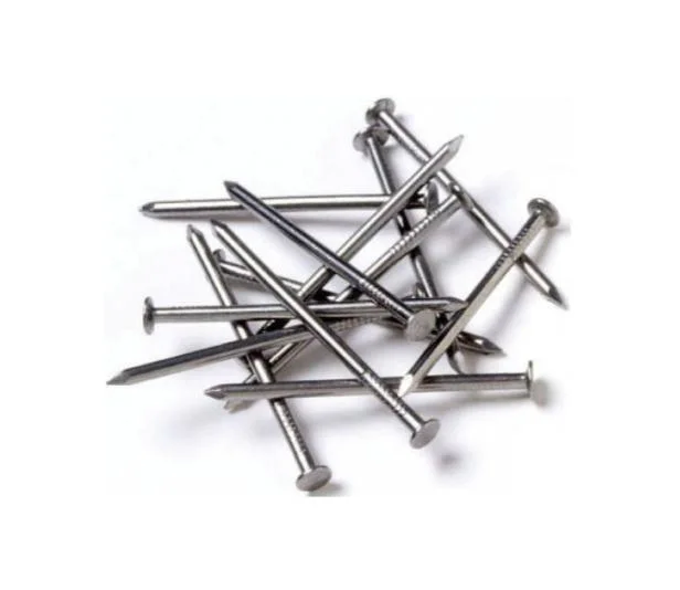 Made in China Q195 Good Price Polished Nail/Galvanized Common Iron Nail/ Wire Nail/Wooden Nail/Roofing Nail