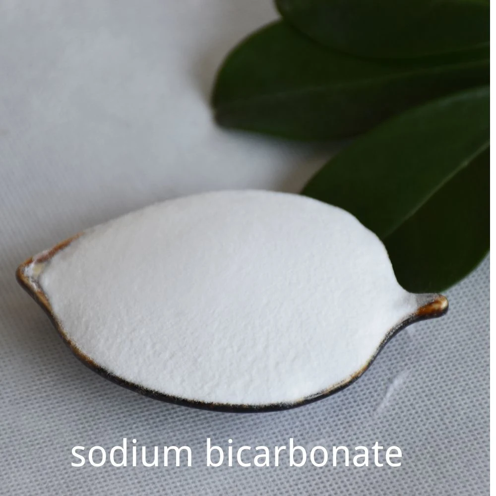 99% Min White Powder CAS 144-55-8 Sodium Bicarbonate for Industry & Food