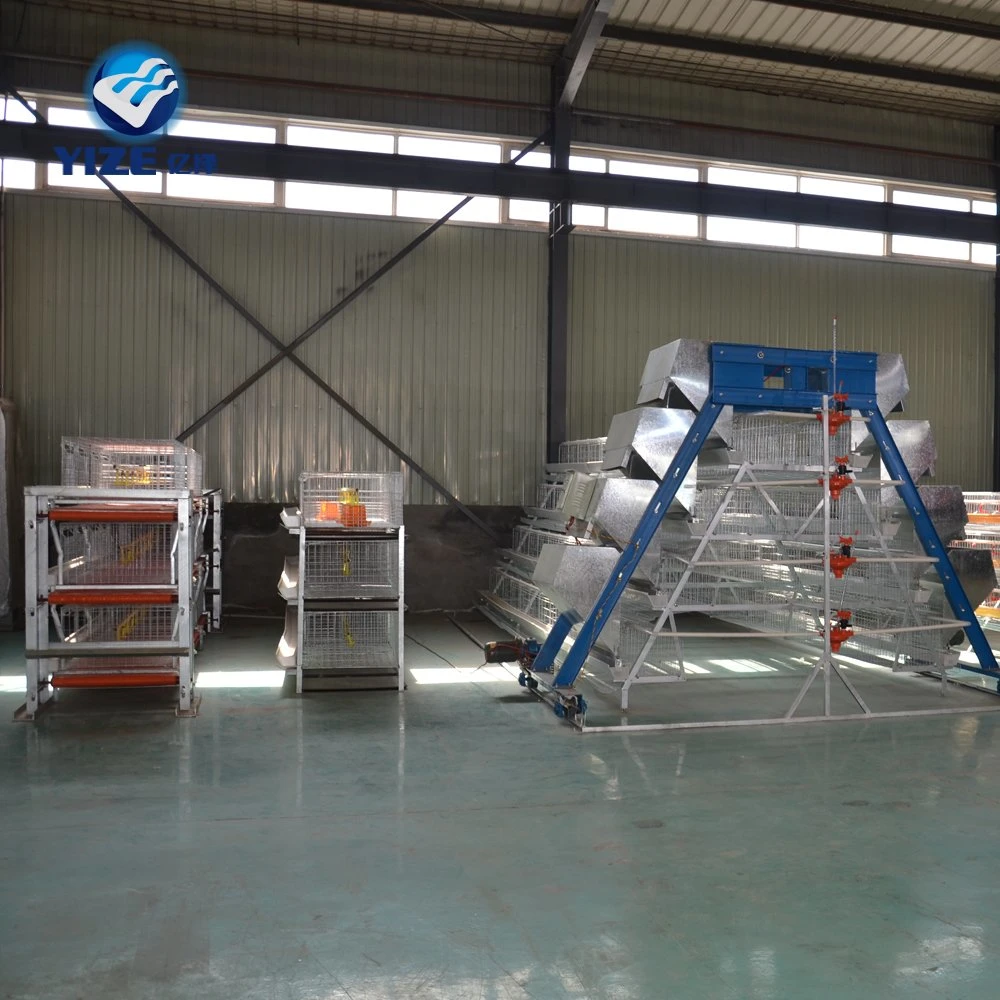 China Hebei Factory Manufacture Hot Sale Chicken Farm Cage