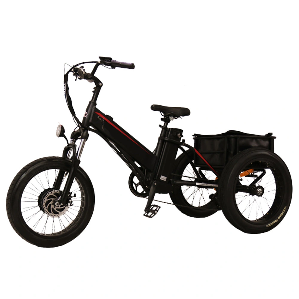 2021 Popualr tracción delantera Tricke Electrictrike motocicleta Eléctrica tres ruedas Trike tres ruedas asistencia electricelica Pick up Trikeoff Road