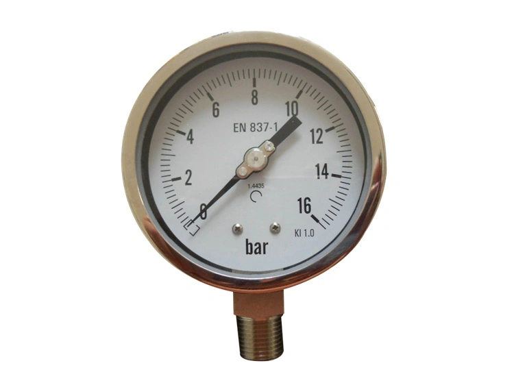 0-100 Glyzerin Gefüllt 304 316 Edelstahl Ammoniak Manometer