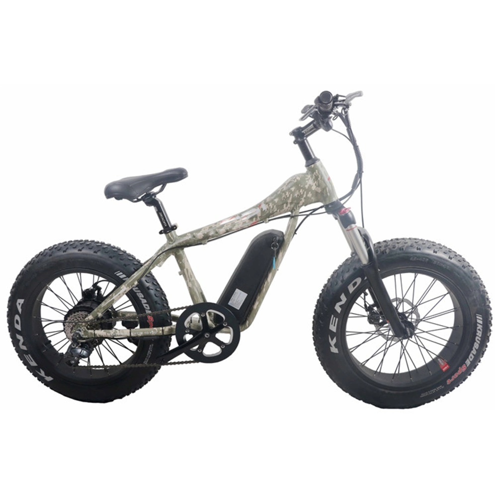 Fat Reifen Elektro-Fahrrad 350 W Beach Cruiser Chopper Fahrrad Fahrrad 20 Zoll fwith Ront und Rückleuchten