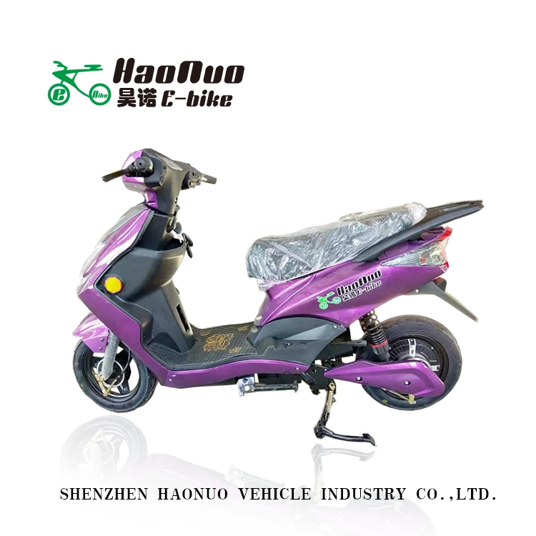 2020 Long Distance 10 Inch 60V 2 Wheel Electric Bike for Adult