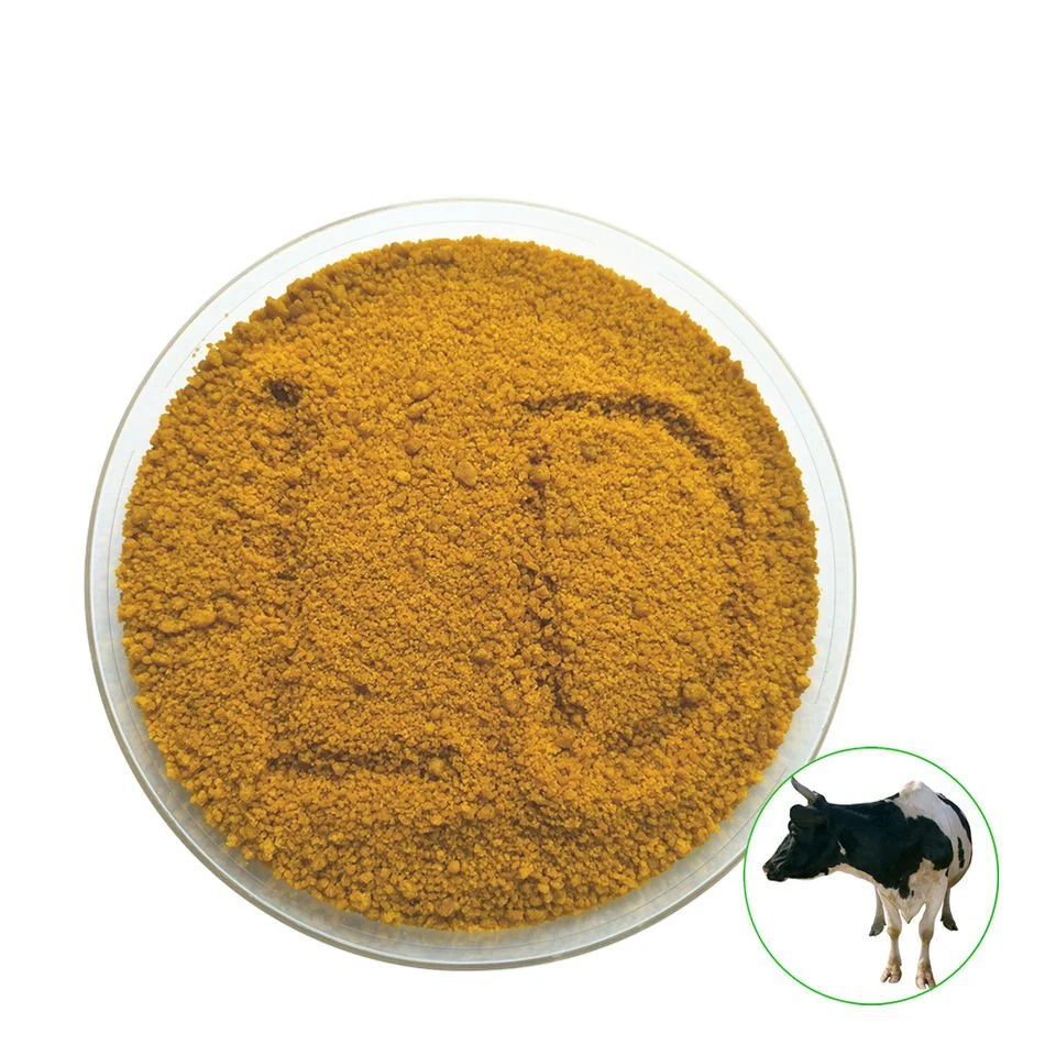 Alimento de galinha da proteína elevada trigo amarelo para o alimento de animal Bran Farinha de glúten de milho em pó