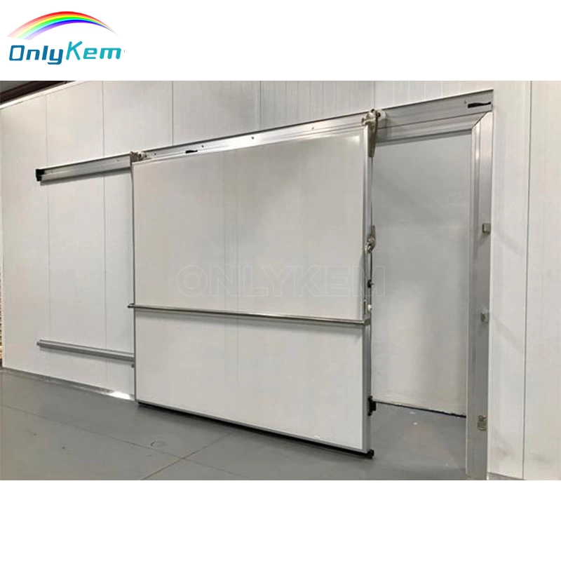 Cold Storage Room Swing Sliding Door Walk in Cooler/Freezer Door