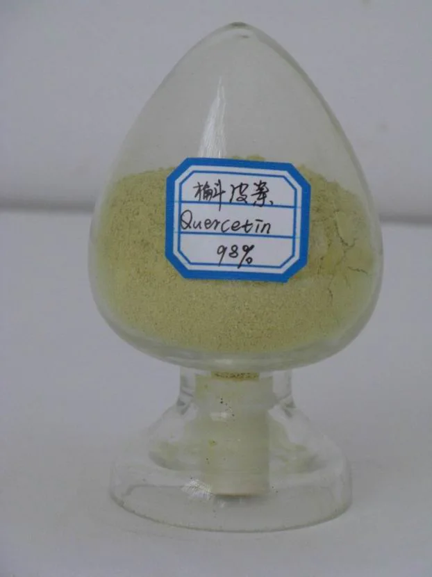 Factory Supply Sophora Japonica Extract 98% Quercetin Powder 1kg Best Price Free Sample