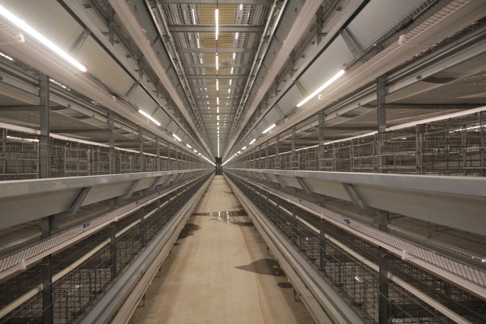 Aluminum-Zinc Coating Automatic Battery Cage System