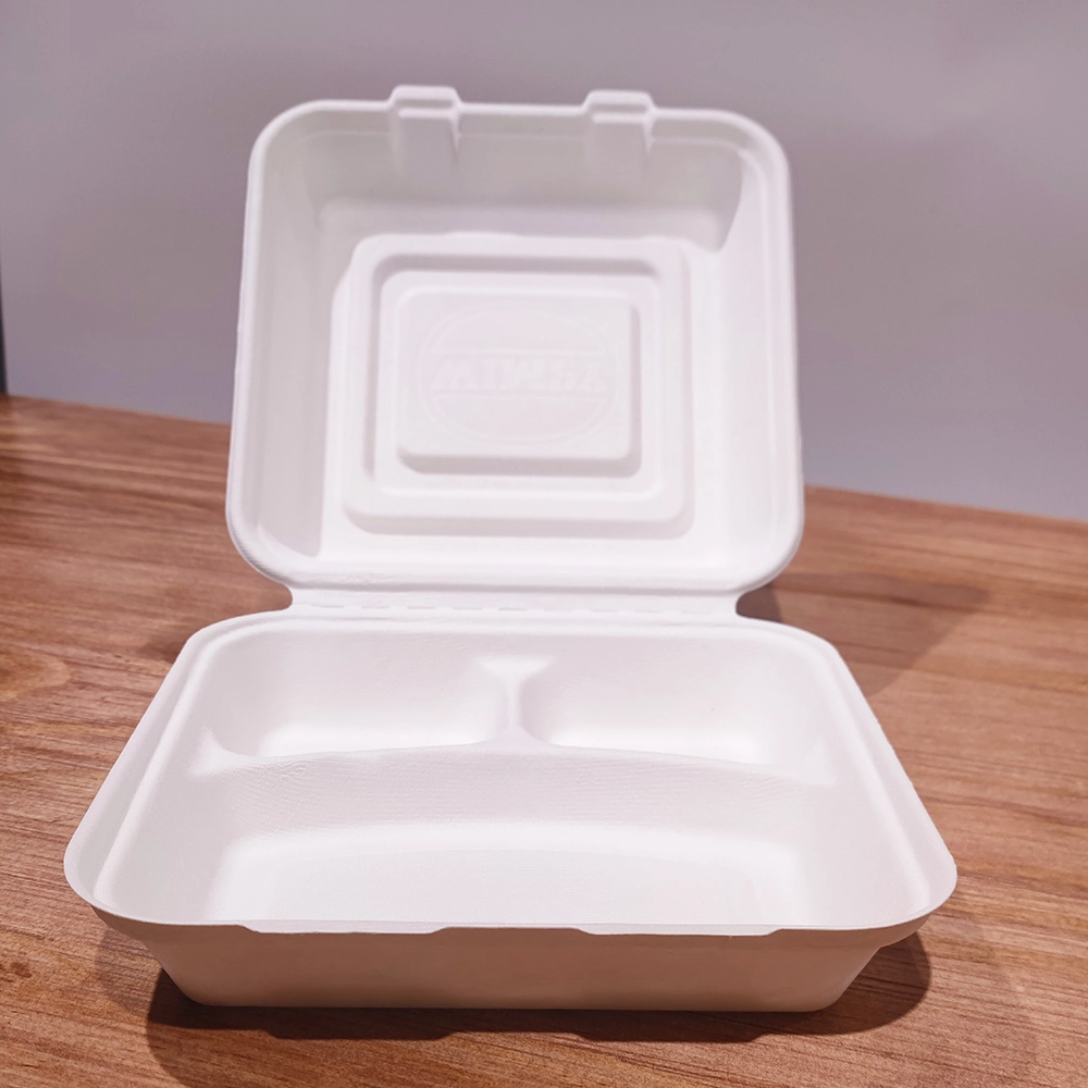 Good Quality Eco Friendly Pack 10 Inch Biodegradable Container Hinged Take Away Food Package Box