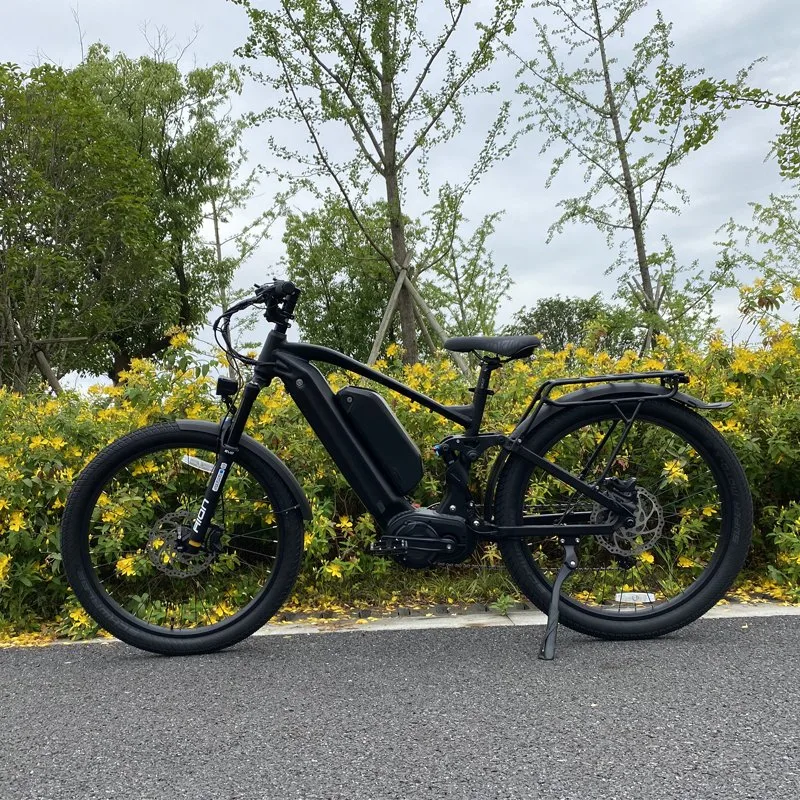 Dual Battery Endurable Fast Speed Mountain Electric Bicycle