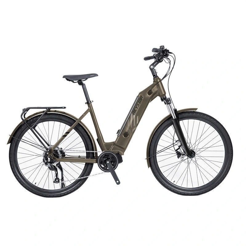 2023 Vélo électrique Bicystar le plus puissant 1500W Vélo électrique de ville à batterie lithium pas cher E-Bike