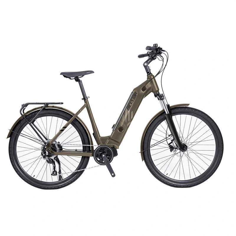 2023 Bicicleta eléctrica más potente Bicystar 1500W de potencia de la ciudad de litio bicicleta Bicicleta eléctrica barata E-Bike