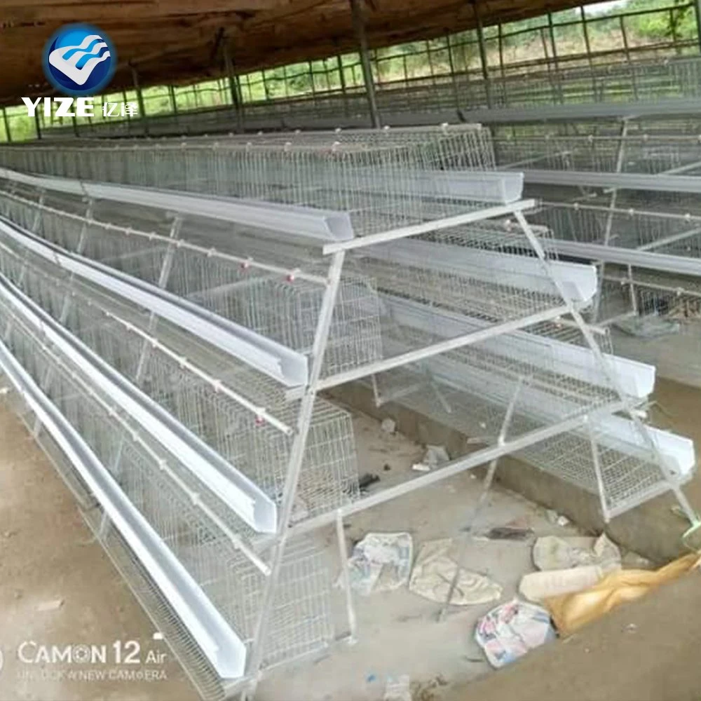 China Supply Good Price Chicken Egg Poultry Farm Equipment