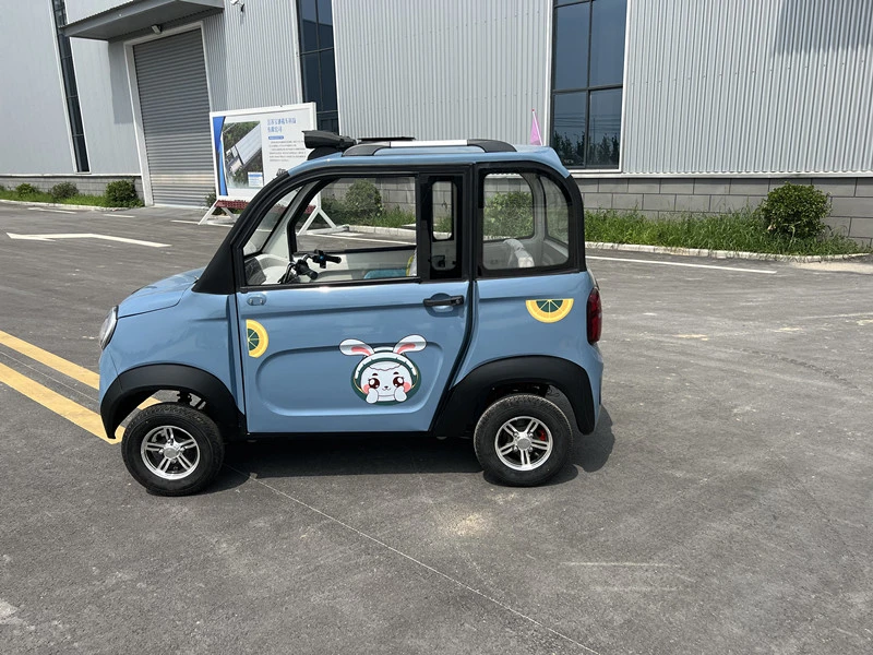 Personnalisation en usine Prix bon marché fermé 2 portes 4 roues avec Petite voiture électrique Dandle Bar.