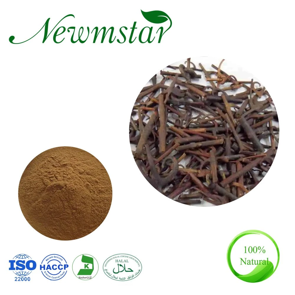 Chinese Herb Gou Teng Gambir Plant Uncaria Extract Powder /Uncaria Gambir/Uncaria Tomentosa Extract 4: 1-20: 1