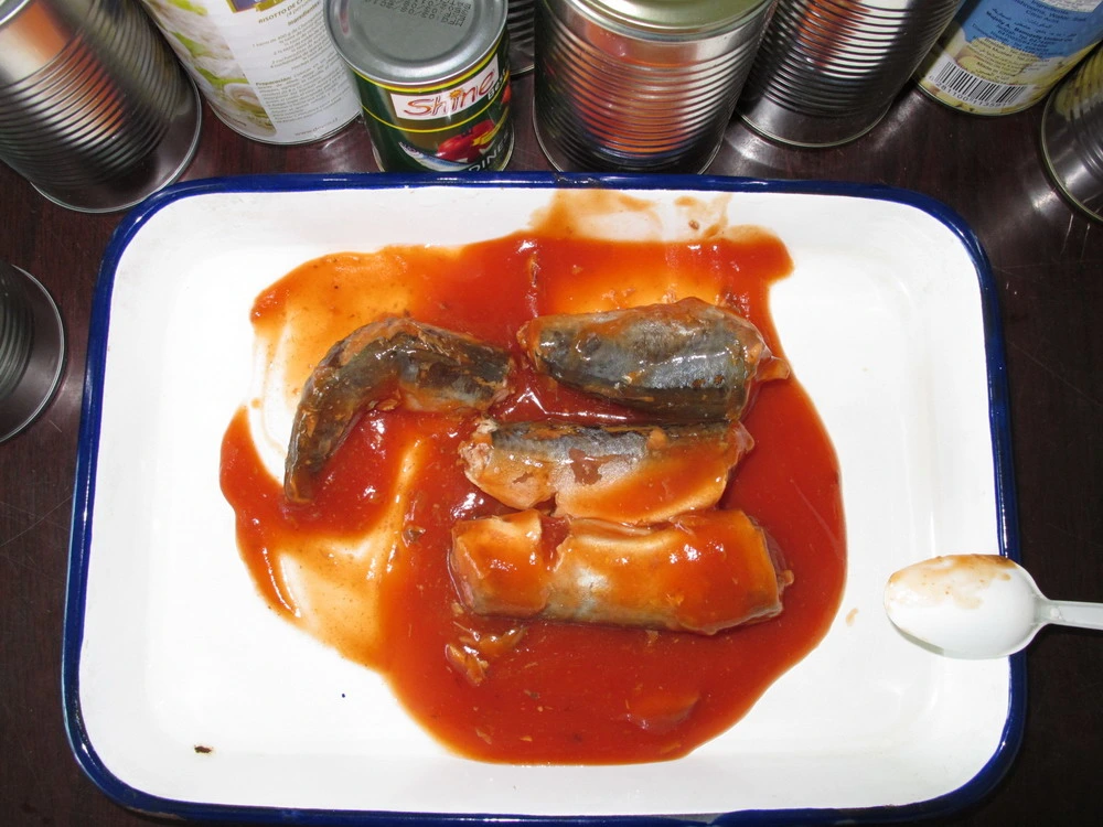 Los mariscos de la salud sardinas enlatadas de pescado en salsa de tomate